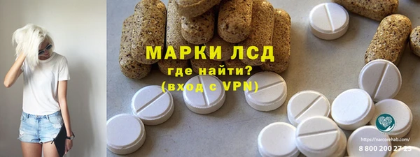 индика Алексин