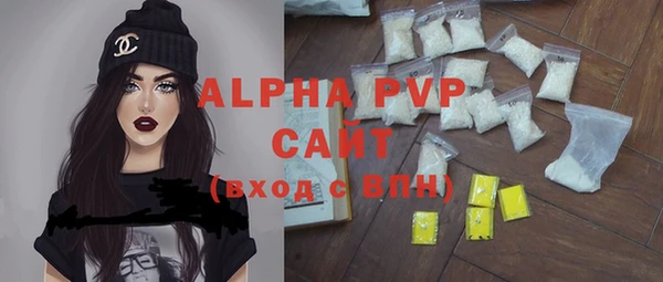 индика Алексин