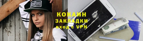 индика Алексин