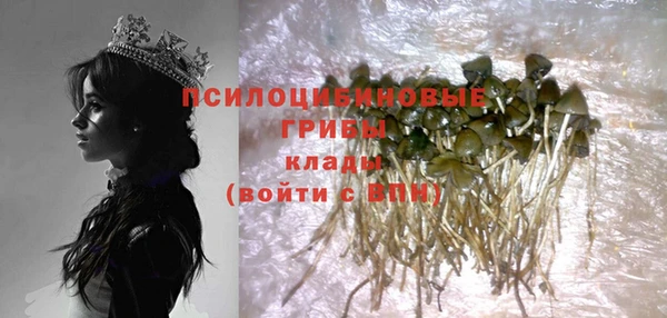 индика Алексин