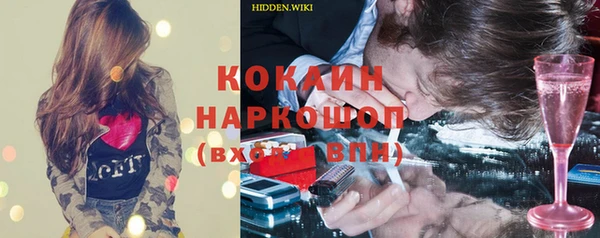 индика Алексин
