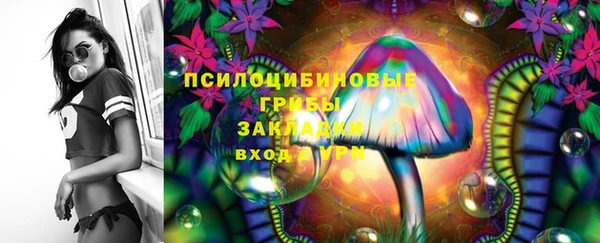 Альфа ПВП Алзамай