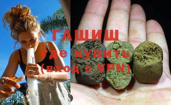 индика Алексин
