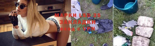 индика Алексин